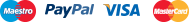 Logotipo de pago