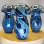 Seta de Kambaba | Calma profunda – Armoniza y enraíza