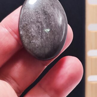 Colgante Plata Obsidiana Plateada | Protección – Intuición – Limpieza Energética